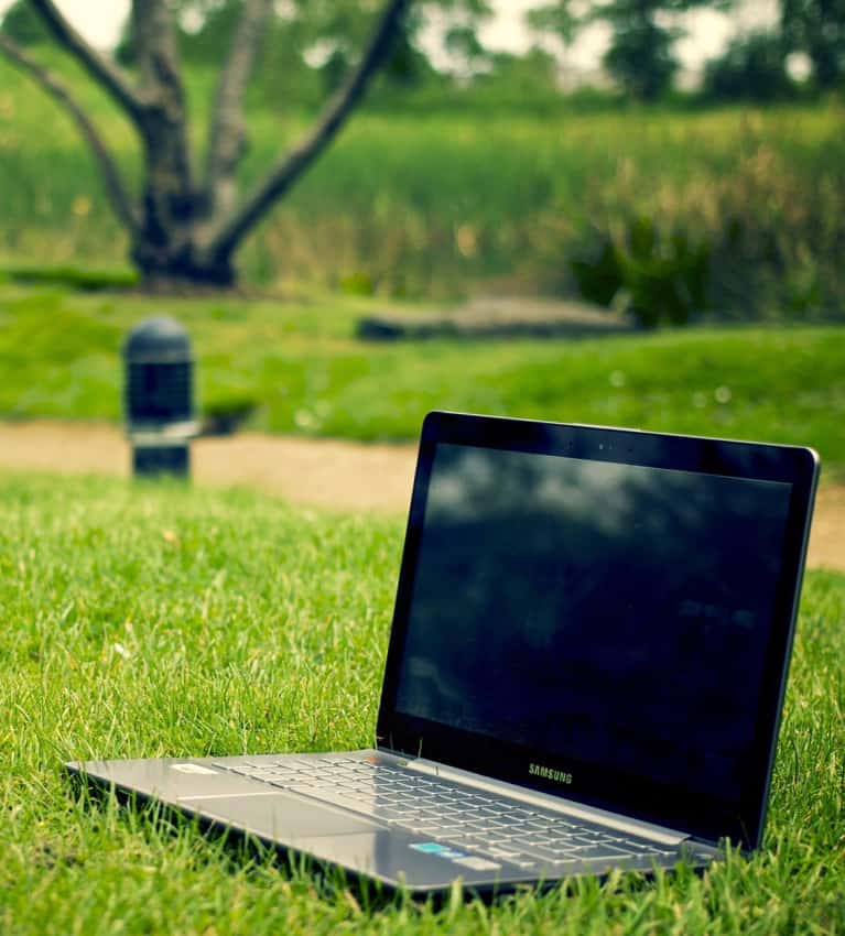 Eco-Friendly Blogging?! Why You Should Consider Switching to a Green Web Hosting Provider